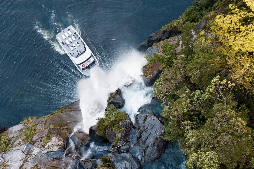 SAVE 20% on Milford Sound Coach & Discover More Cruise ex Te Anau