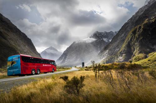 Milford Sound Coach driving through the Hollyford Valley