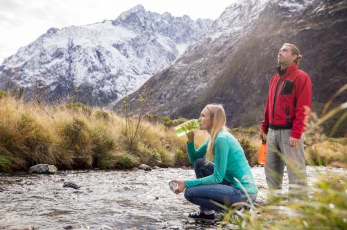 Milford Sound Coach Stop in the Hollyford Valley