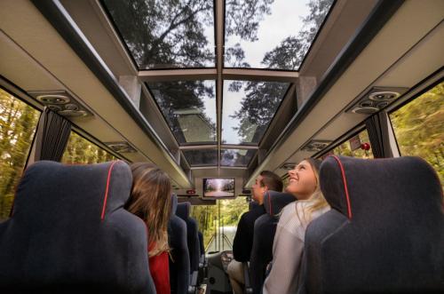 Milford Sound Coach with glass roof view