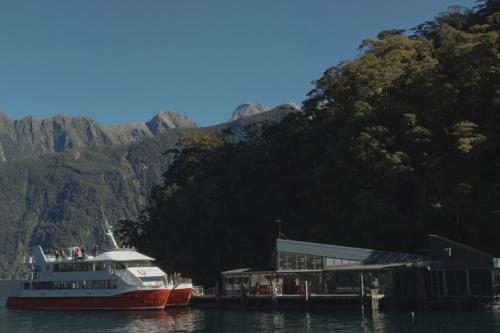 Milford Sound Underwater Observatory video