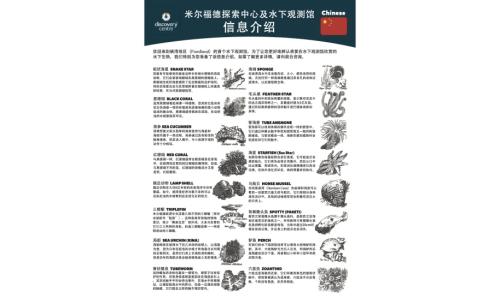 Info Sheet - English