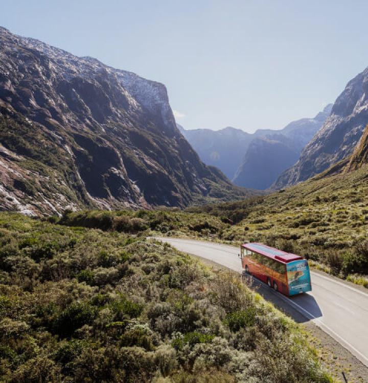 Coach & Nature Cruise