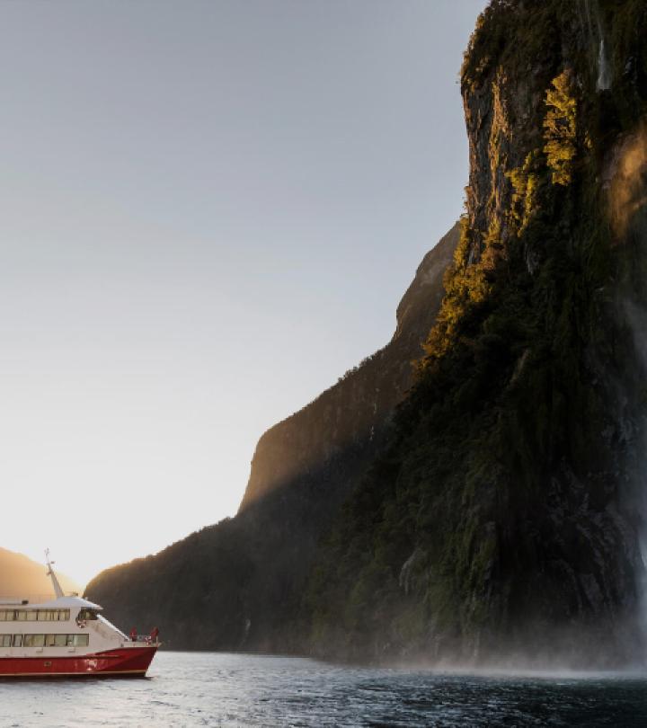Milford Sound Nature Cruise