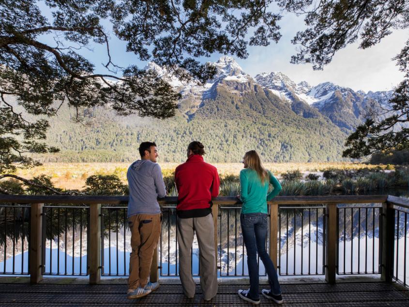 Milford Sound self drive
