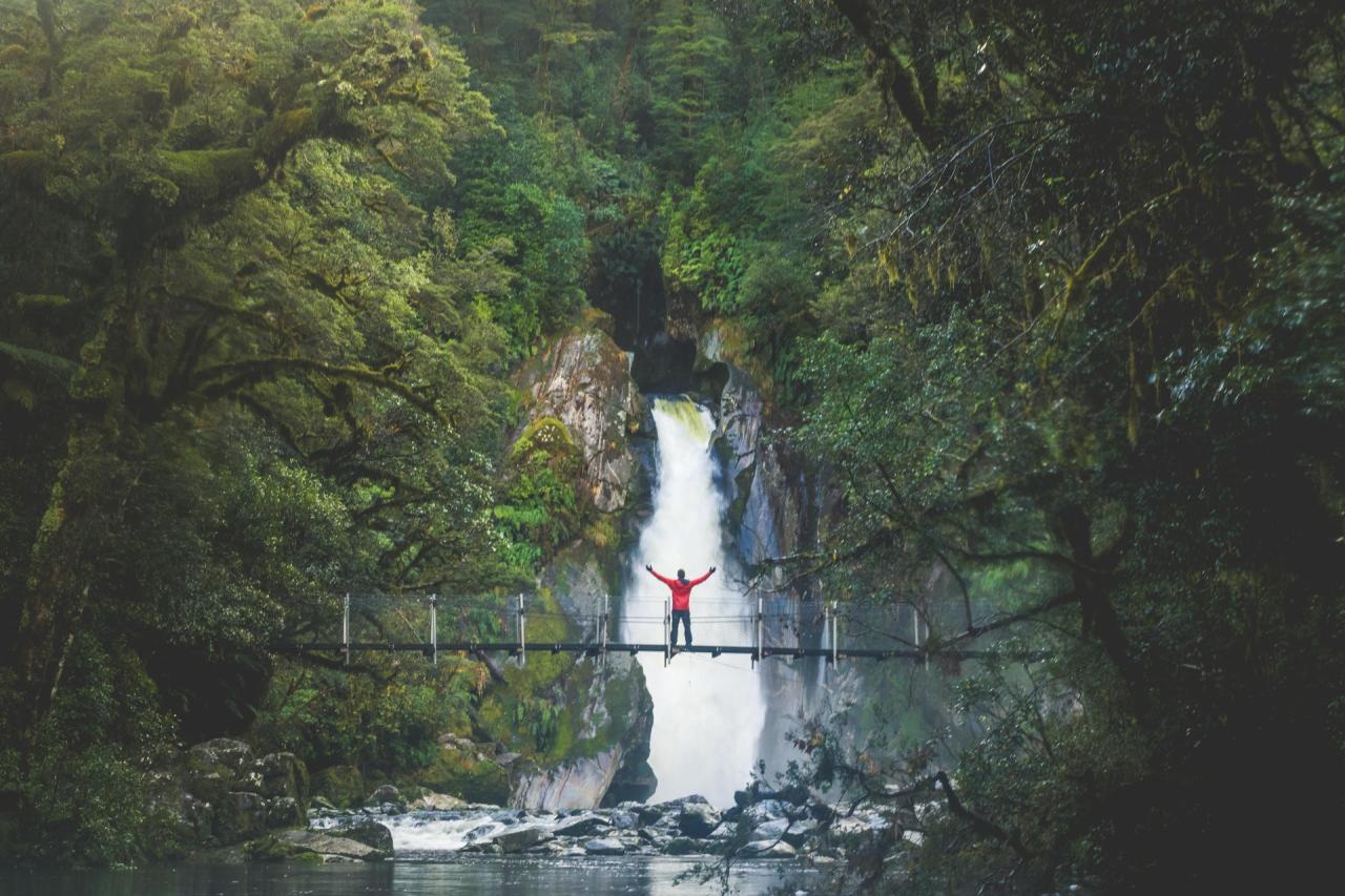 Milford Sound Cruise & Milford Sound Track