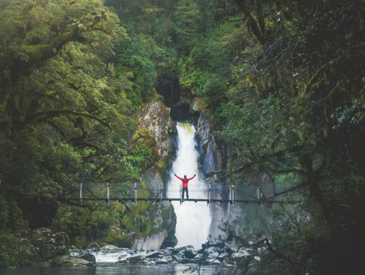 Milford Sound Cruise & Milford Sound Track