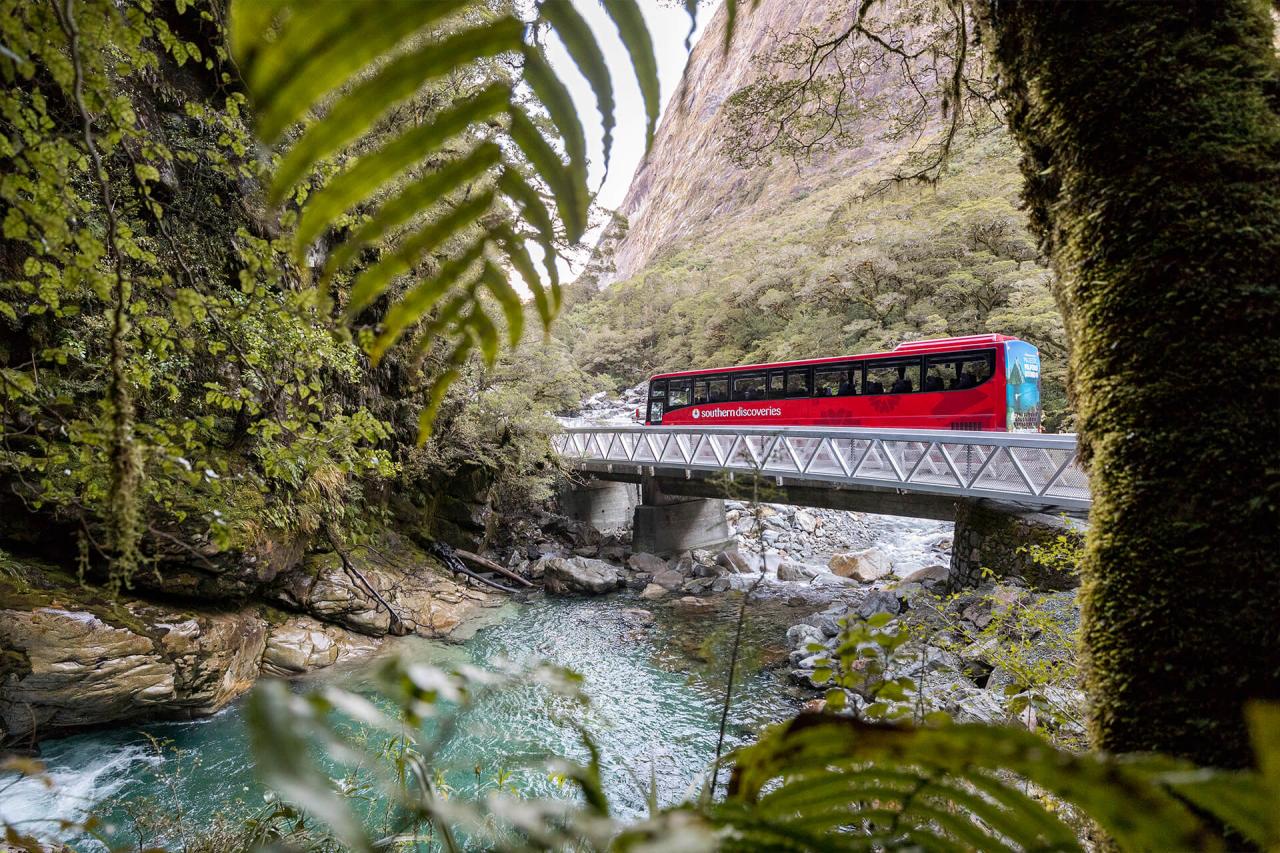 Coach & Discover More