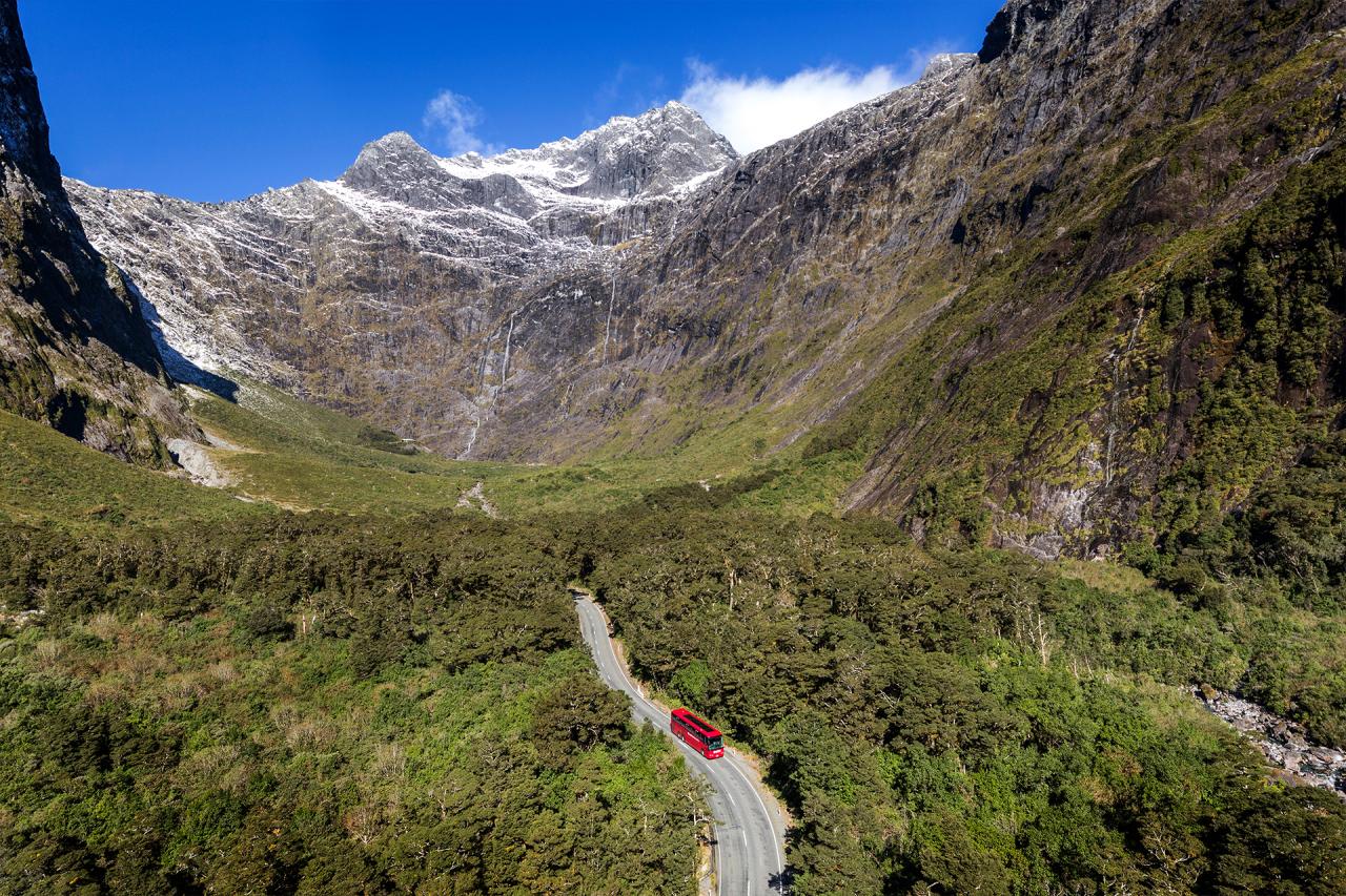 Coach, Farm Tour & Milford Sound Nature Cruise