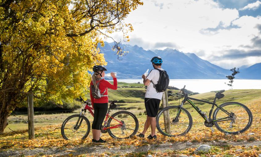 Milford Sound self drive