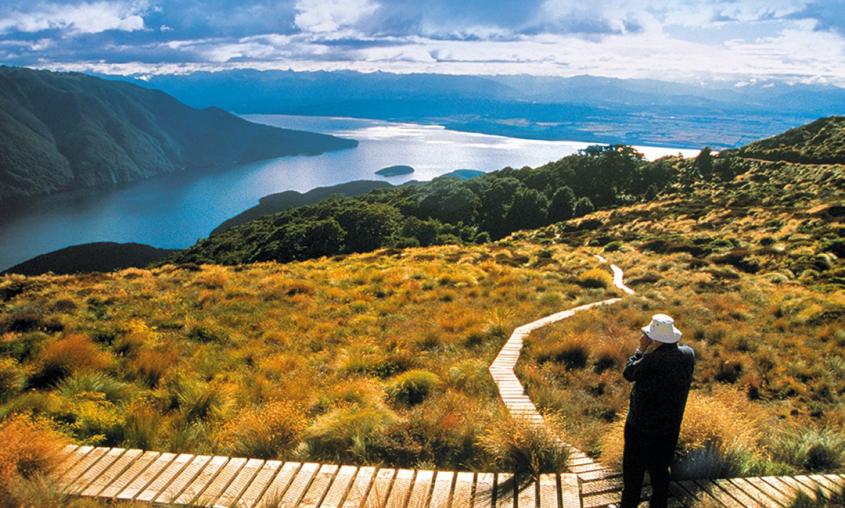 Milford Sound self drive