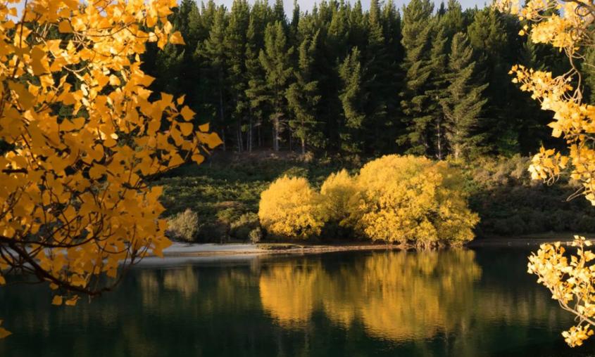 Milford Sound self drive