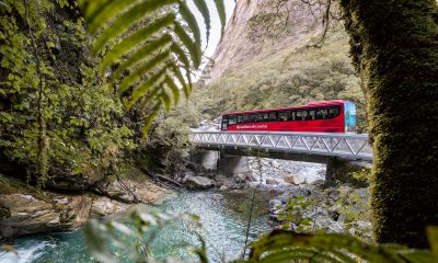 Leading The Way: Southern Discoveries' Approach To Inclusive Tourism