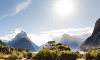 Milford Sound in Winter: Your ultimate guide
