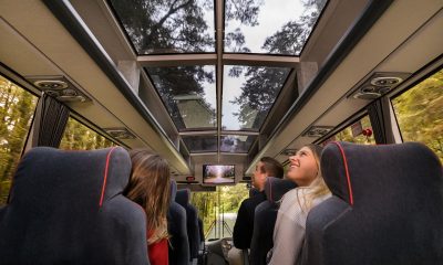 Why you should take a coach to Milford Sound and leave your car at home!