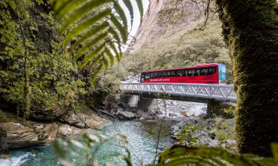 The top 9 reasons to book a Milford Sound day trip