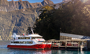 Discover More Cruise