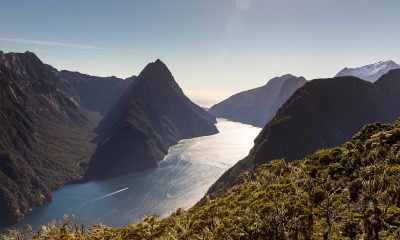 How to save money on your trip to Milford Sound