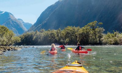 Kayaking in Milford Sound – The Perfect Complement to your Cruise