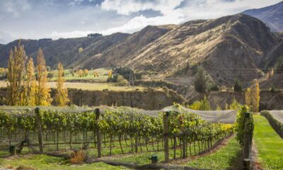 The top 8 places to enjoy some Central Otago wine