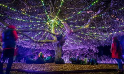 Queenstown’s LUMA long weekend