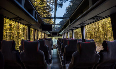 Things To Do in Queenstown Without a Car