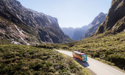 Deciding Between Car or Coach to Milford Sound?