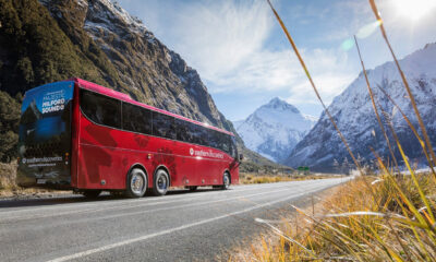 Best Places To Dine On Your Milford Sound Day Trip