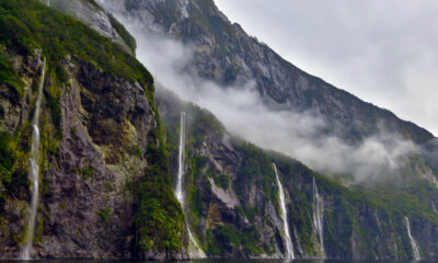 The Culture and Tales of Piopiotahi Milford Sound