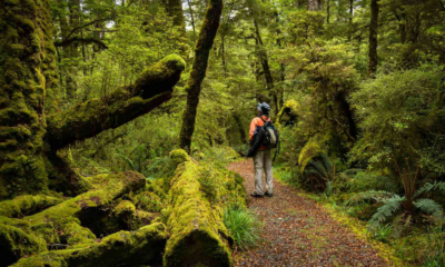 Hiking in Fiordland: Great Walks & Day Walks