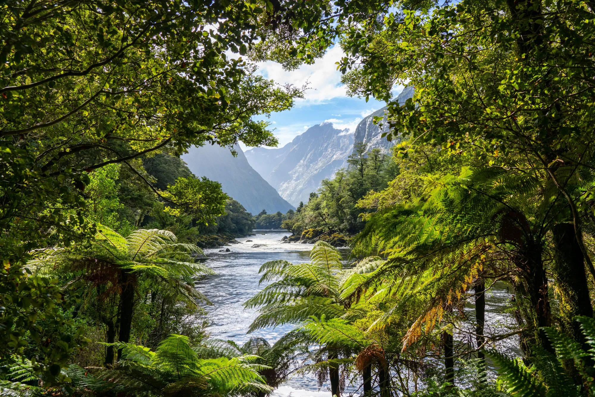Milford Track