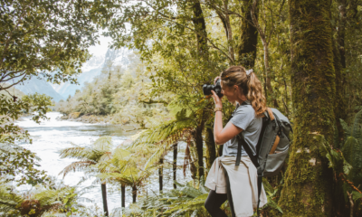 Top Day Trips from Te Anau