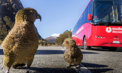 Family-friendly NZ adventures: Travelling with  children to Milford Sound
